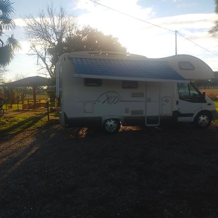 Mimoza Camper Hotel Bibione Luaran gambar